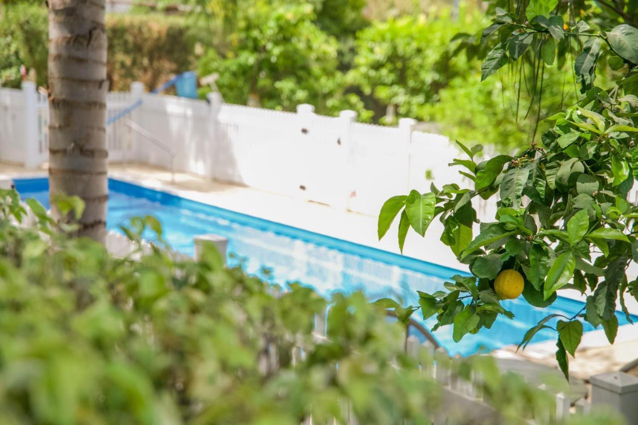 Eden Ramot Chalets エクステリア 写真